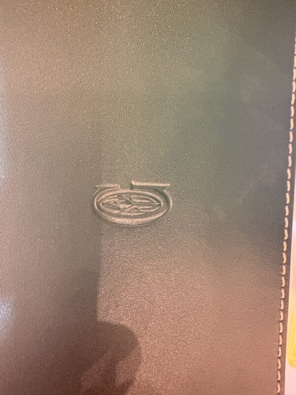 IMG_6713 Goyard Saïgon PM Structured – Green Rare Luxury Top Handle Satchel